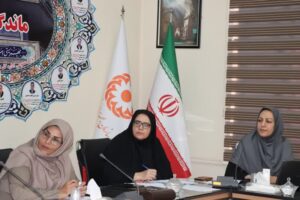 جلسه کمیته ساماندهی کودکان کار و خیابان (دیده‌بان اجتماعی)%