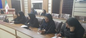 نشست هم اندیشی تشکل ها و سازمان های مردم نهاد استان فارس%