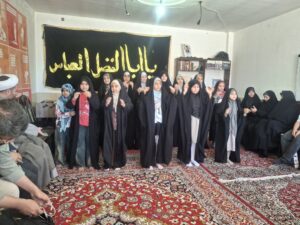 سفر استانی مسئول شتابدهنده اجتماعی کودکیار به استان زنجان%